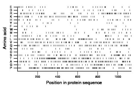 amino acid map