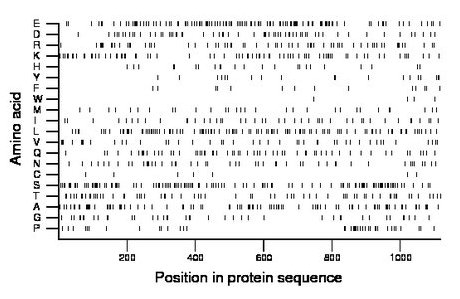 amino acid map