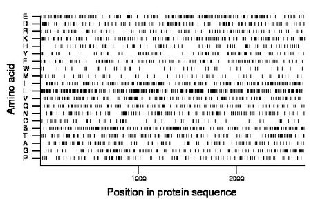 amino acid map