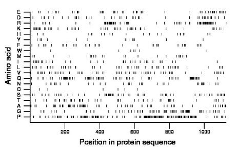 amino acid map