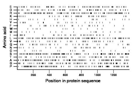 amino acid map