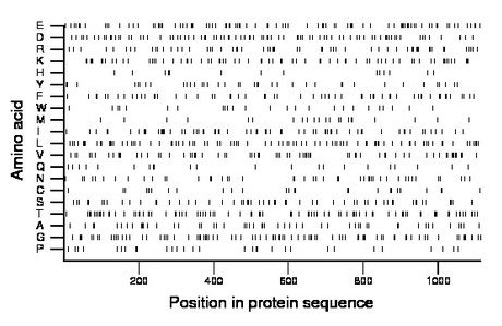 amino acid map