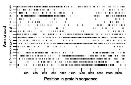 amino acid map