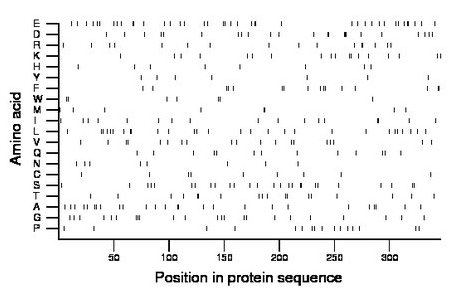 amino acid map