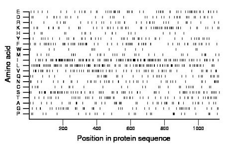 amino acid map