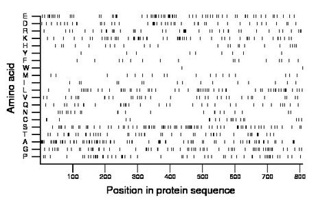 amino acid map