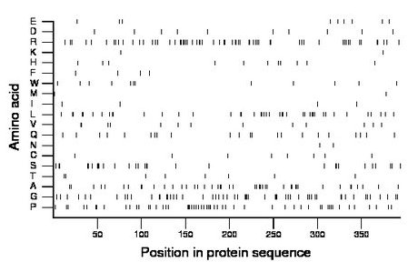 amino acid map