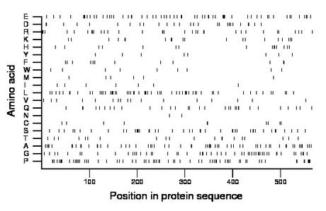 amino acid map