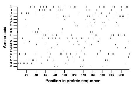 amino acid map