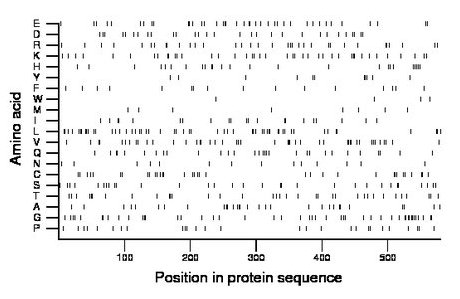 amino acid map