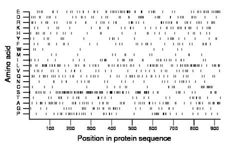 amino acid map