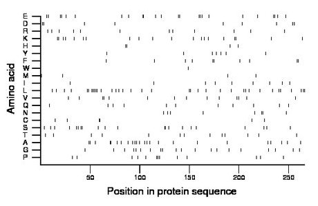 amino acid map