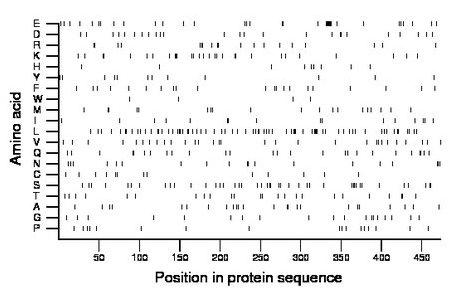 amino acid map