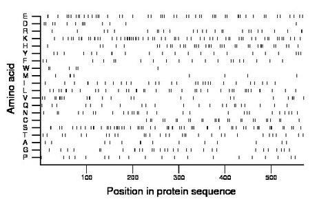 amino acid map