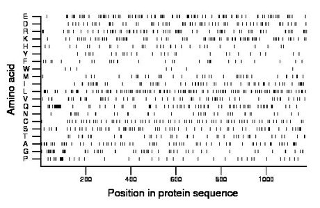 amino acid map