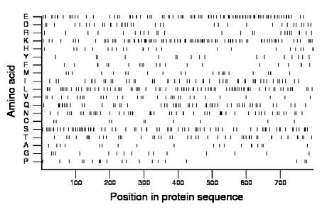 amino acid map