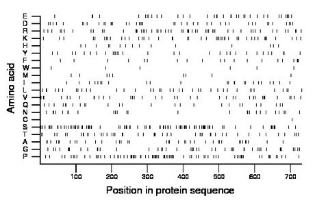 amino acid map