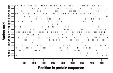 amino acid map