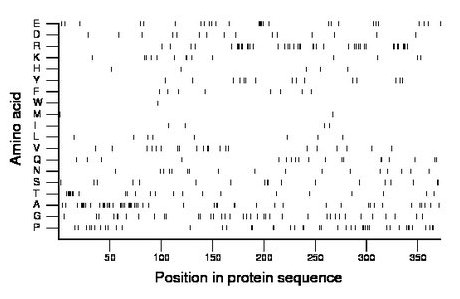 amino acid map