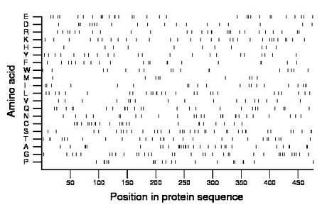 amino acid map