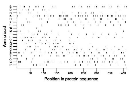 amino acid map