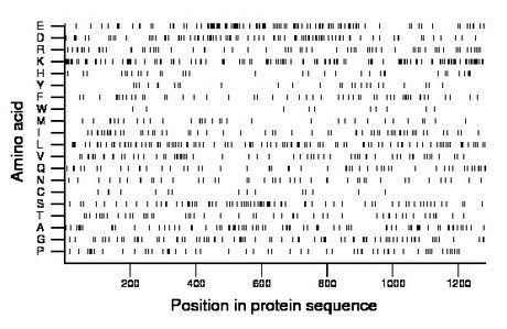 amino acid map