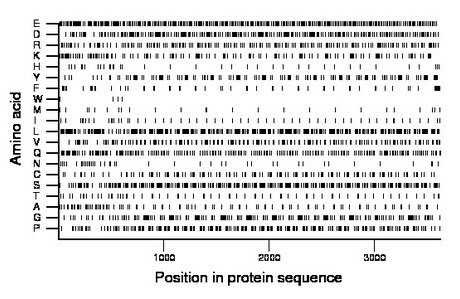 amino acid map