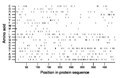 amino acid map