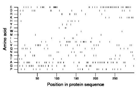 amino acid map