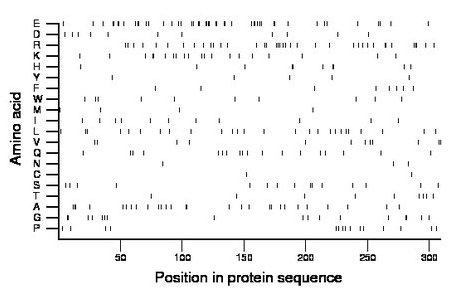 amino acid map