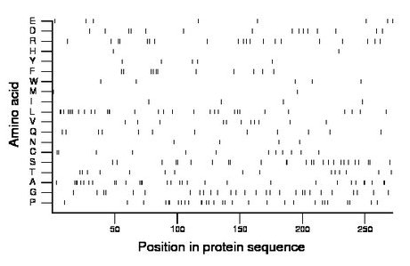 amino acid map