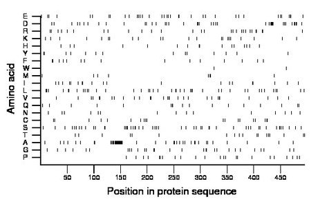 amino acid map