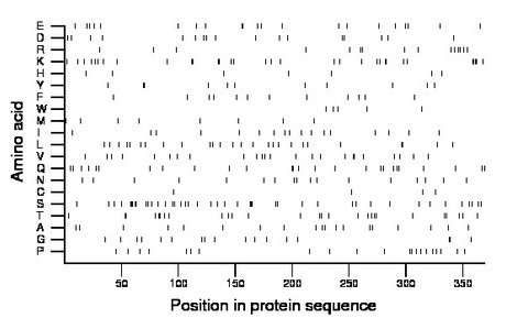 amino acid map