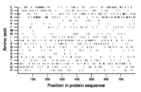 amino acid map