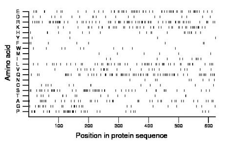 amino acid map