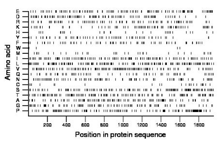 amino acid map