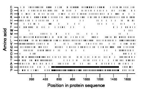 amino acid map