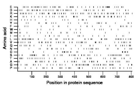 amino acid map