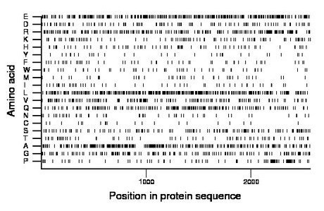 amino acid map