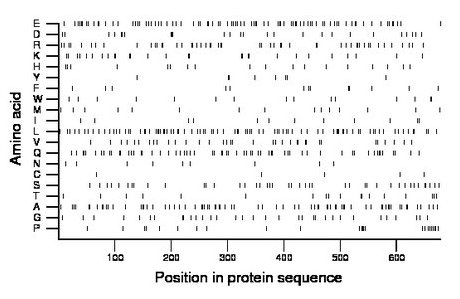 amino acid map