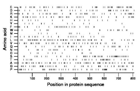 amino acid map