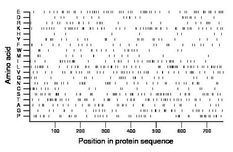 amino acid map