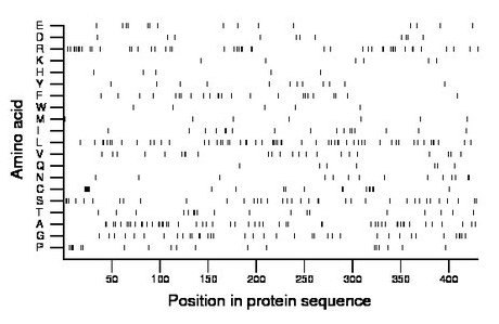 amino acid map