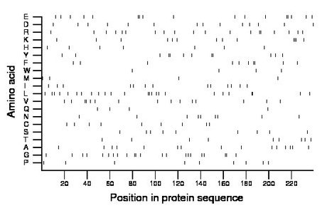 amino acid map