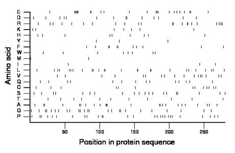 amino acid map