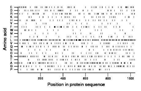 amino acid map