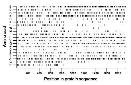 amino acid map