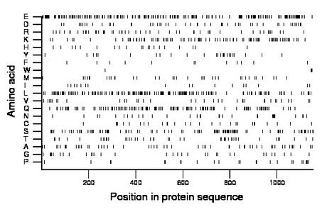 amino acid map