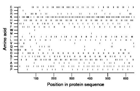 amino acid map