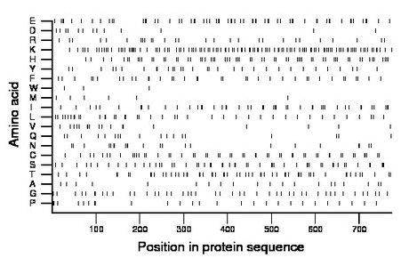 amino acid map